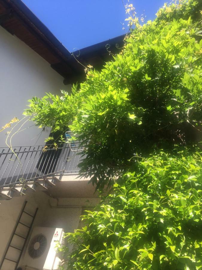 Delizioso Appartamento In Corte Vittuone Kültér fotó
